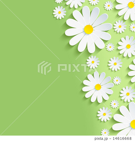 Spring green nature background white chamomiles Spring green nature background white chamomiles 14616668