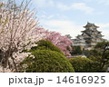 姫路城 14616925