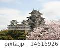 姫路城 14616926