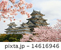姫路城 14616946