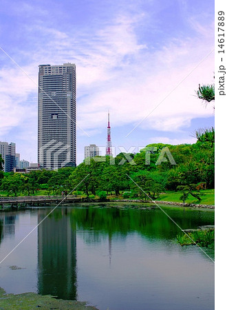 浜離宮と東京タワー 浜離宮と東京タワー 14617889