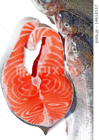 fresh trout and salmon slice on white background 14618537