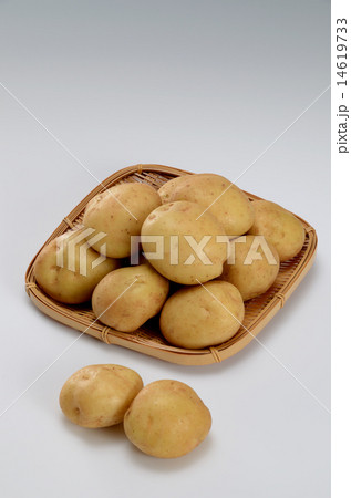 じゃがいも じゃがいも 14619733