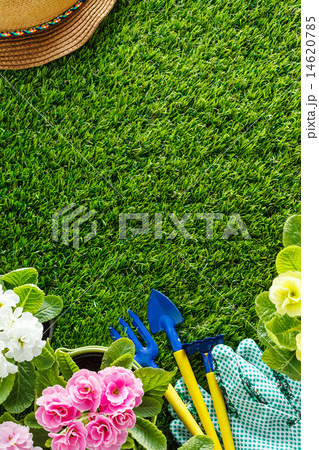 spring flowers 14620785