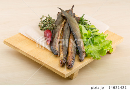 Lamprey Lamprey 14621421