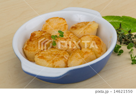 Grilled scallops Grilled scallops 14621550