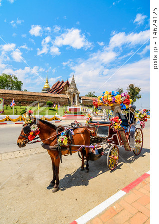 Horse carriage in temple Phrathat Lampang Luang Horse carriage in temple Phrathat Lampang Luang 14624125