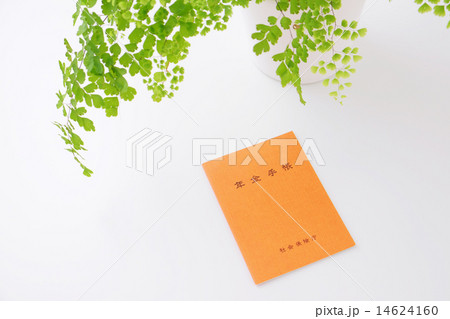 年金手帳 年金手帳 14624160