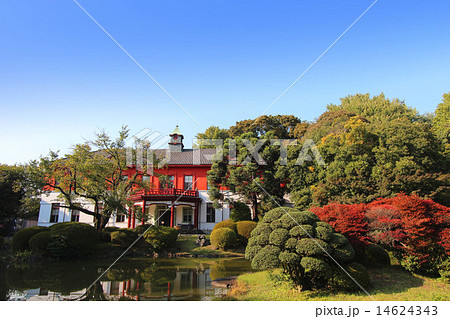 小石川植物園の日本庭園  14624343