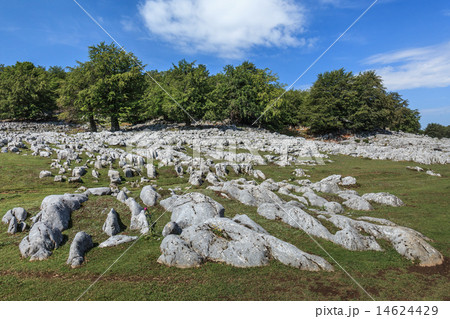 Mehedinti Mountains 14624429