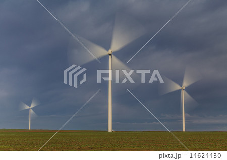 wind power turbines in  Dobrogea, Romania 14624430
