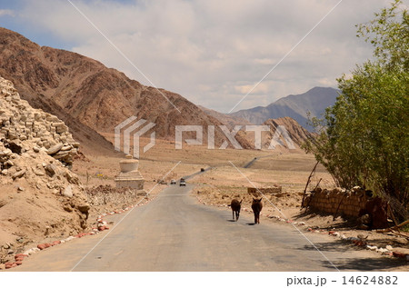 Leh suburbs of Ladakh India 14624882