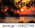 若洲公園の朝日 14625748