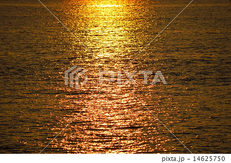 若洲公園の朝日 14625750