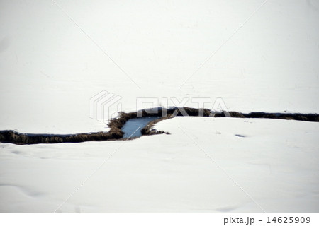 釧路湿原を流れる川 釧路湿原を流れる川 14625909