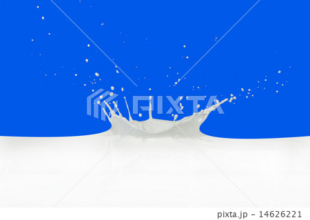 milk splash milk splash 14626221