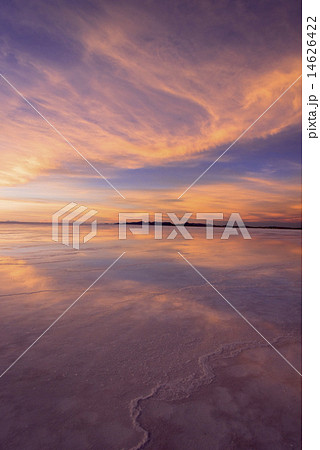 ミラーレイクのウユニ塩湖夕景 ミラーレイクのウユニ塩湖夕景 14626422