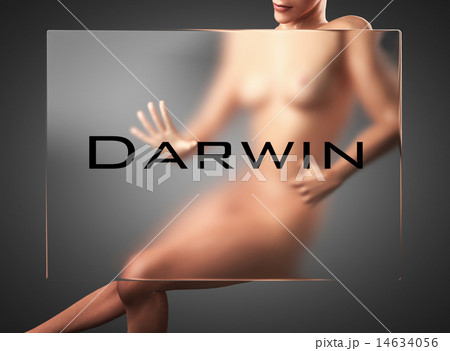 Darwin word on glass and woman Darwin word on glass and woman 14634056
