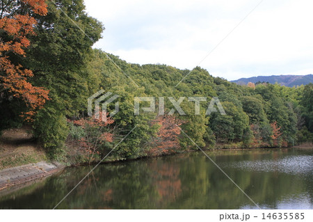 奈良県天理市柳本町にある「櫛山古墳」 14635585