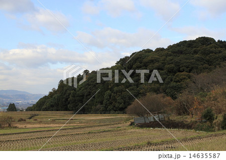 渋谷向山古墳 14635587