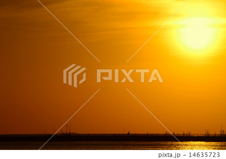 Sunset 14635723