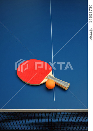 Table Tennis 14635750