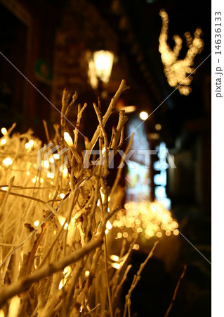 Insadong 14636133