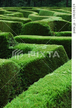 Maze Museum Maze Museum 14636324