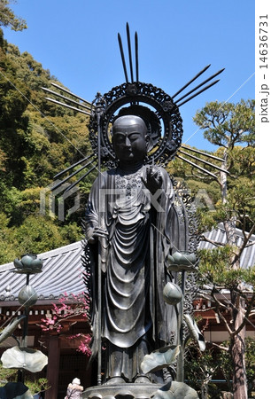 清荒神 14636731