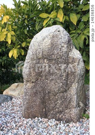 ひもろぎ遺跡　 14636856