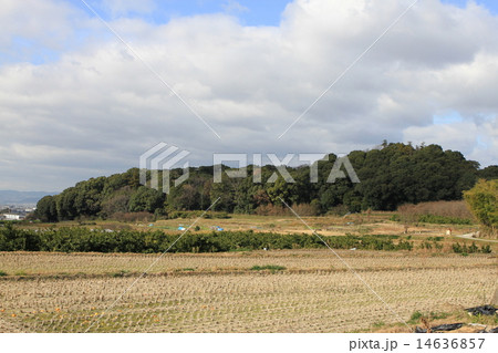 奈良県天理市にある「渋谷向山古墳」 14636857