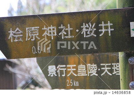 山辺の道 14636858