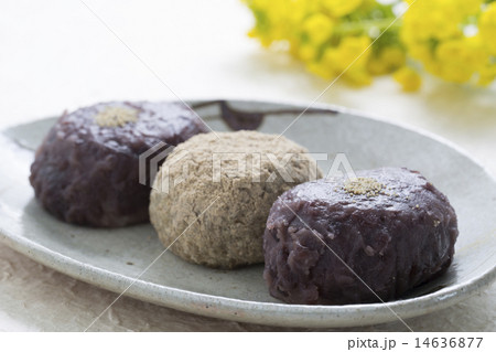 牡丹餅と菜の花 14636877