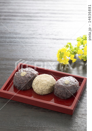 牡丹餅と菜の花 14636881