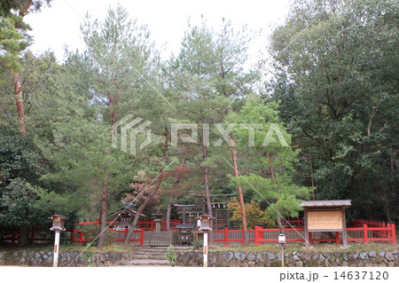 桧原神社 14637120