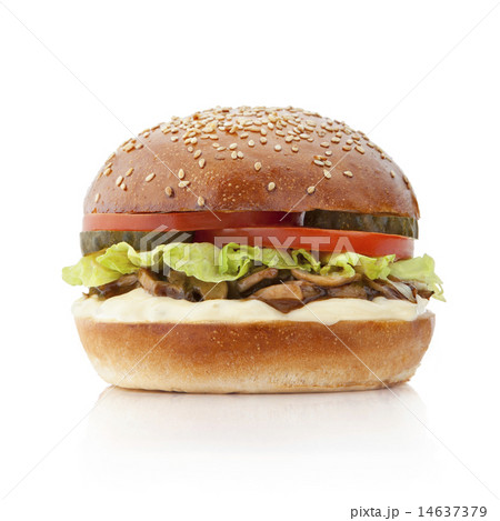 delicious burger delicious burger 14637379