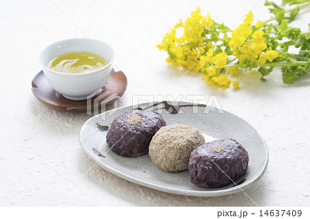 ぼた餅と日本茶 14637409