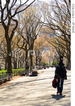Central park, New York City 14637822