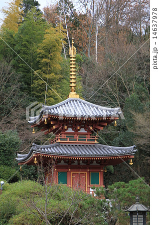 平等寺 14637978