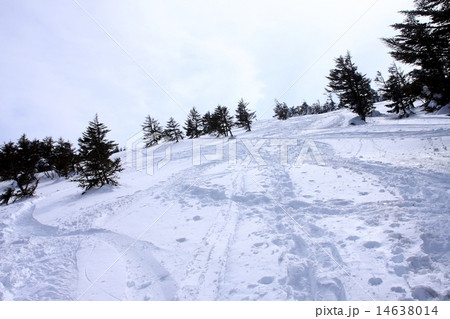 後烏帽子岳　雪 14638014
