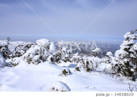 後烏帽子岳　雪 14638020