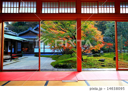 書院からの庭園の眺め 14638095