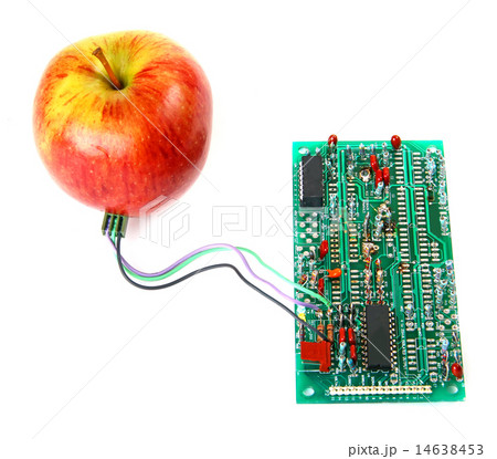 Red apple connected to the electric board 14638453