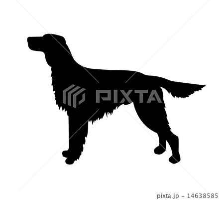 vector dog silhouette, irish setter 14638585