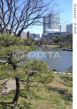 旧芝離宮恩賜庭園 旧芝離宮恩賜庭園 14638938