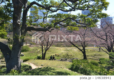 旧芝離宮恩賜庭園（大山からの眺め） 14638941