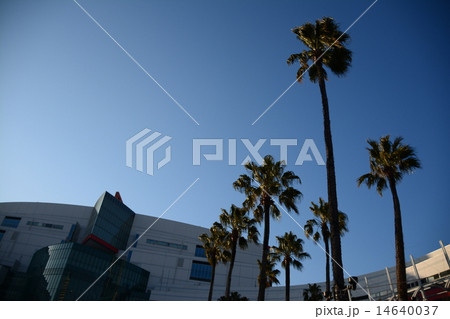 青空の下の港みち（２） 14640037