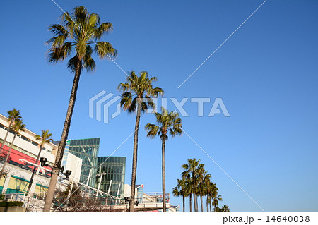 青空の下の港みち（３） 14640038