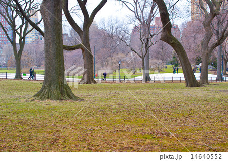 New York, USA, central park New York, USA, central park 14640552