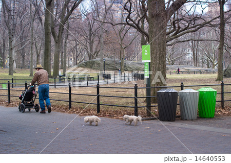 New York, USA, central park 14640553